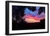 Colorful Sunrise at Oakland Hills-Vincent James-Framed Photographic Print