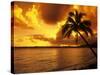 Colorful Sunrise in a Tropical Paradise, Kauai Hawaii, USA-Jerry Ginsberg-Stretched Canvas