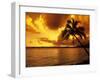 Colorful Sunrise in a Tropical Paradise, Kauai Hawaii, USA-Jerry Ginsberg-Framed Photographic Print