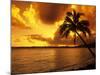 Colorful Sunrise in a Tropical Paradise, Kauai Hawaii, USA-Jerry Ginsberg-Mounted Photographic Print