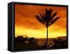 Colorful Sunrise in a Tropical Paradise, Kauai Hawaii, USA-Jerry Ginsberg-Framed Stretched Canvas