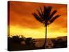 Colorful Sunrise in a Tropical Paradise, Kauai Hawaii, USA-Jerry Ginsberg-Stretched Canvas