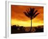 Colorful Sunrise in a Tropical Paradise, Kauai Hawaii, USA-Jerry Ginsberg-Framed Photographic Print