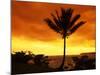 Colorful Sunrise in a Tropical Paradise, Kauai Hawaii, USA-Jerry Ginsberg-Mounted Photographic Print