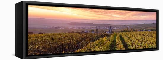 Colorful Sunrise over the Vineyards of Ville Dommange, Champagne Ardenne, France-Matteo Colombo-Framed Stretched Canvas