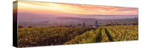 Colorful Sunrise over the Vineyards of Ville Dommange, Champagne Ardenne, France-Matteo Colombo-Stretched Canvas