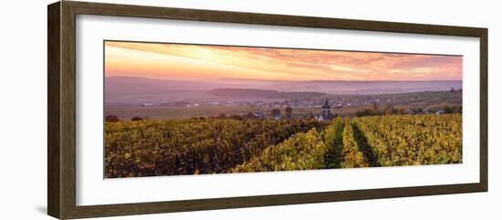 Colorful Sunrise over the Vineyards of Ville Dommange, Champagne Ardenne, France-Matteo Colombo-Framed Photographic Print