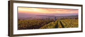 Colorful Sunrise over the Vineyards of Ville Dommange, Champagne Ardenne, France-Matteo Colombo-Framed Photographic Print