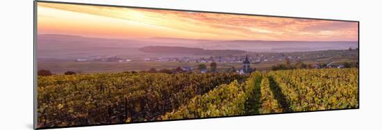 Colorful Sunrise over the Vineyards of Ville Dommange, Champagne Ardenne, France-Matteo Colombo-Mounted Photographic Print