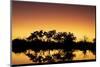 Colorful sunset at watering hole. Camelthorn Lodge. Hwange National Park. Zimbabwe.-Tom Norring-Mounted Photographic Print