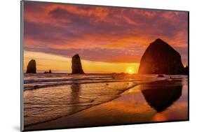 Colorful sunset, birds, Haystack Rock sea stacks, Canon Beach, Clatsop County, Oregon.-William Perry-Mounted Photographic Print