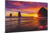 Colorful sunset, Haystack Rock sea stacks, Canon Beach, Clatsop County, Oregon.-William Perry-Mounted Photographic Print