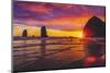 Colorful sunset, Haystack Rock sea stacks, Canon Beach, Clatsop County, Oregon.-William Perry-Mounted Photographic Print