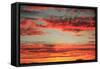 Colorful Sunset I-Philip Clayton-thompson-Framed Stretched Canvas