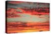 Colorful Sunset I-Philip Clayton-thompson-Stretched Canvas