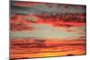 Colorful Sunset I-Philip Clayton-thompson-Mounted Photographic Print