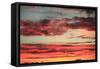 Colorful Sunset II-Philip Clayton-thompson-Framed Stretched Canvas