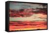 Colorful Sunset II-Philip Clayton-thompson-Framed Stretched Canvas