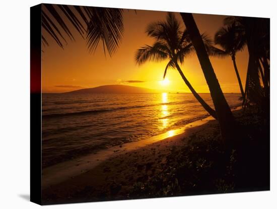 Colorful Sunset in a Tropical Paradise, Maui Hawaii, USA-Jerry Ginsberg-Stretched Canvas