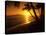 Colorful Sunset in a Tropical Paradise, Maui Hawaii, USA-Jerry Ginsberg-Stretched Canvas