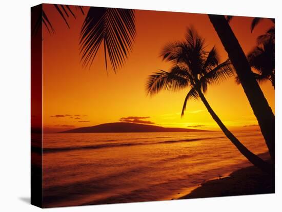 Colorful Sunset in a Tropical Paradise, Maui Hawaii, USA-Jerry Ginsberg-Stretched Canvas