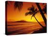 Colorful Sunset in a Tropical Paradise, Maui Hawaii, USA-Jerry Ginsberg-Stretched Canvas