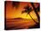 Colorful Sunset in a Tropical Paradise, Maui Hawaii, USA-Jerry Ginsberg-Stretched Canvas