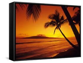 Colorful Sunset in a Tropical Paradise, Maui Hawaii, USA-Jerry Ginsberg-Framed Stretched Canvas