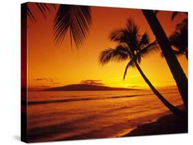 Colorful Sunset in a Tropical Paradise, Maui Hawaii, USA-Jerry Ginsberg-Stretched Canvas