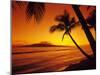 Colorful Sunset in a Tropical Paradise, Maui Hawaii, USA-Jerry Ginsberg-Mounted Photographic Print