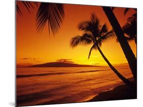 Colorful Sunset in a Tropical Paradise, Maui Hawaii, USA-Jerry Ginsberg-Mounted Photographic Print