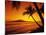 Colorful Sunset in a Tropical Paradise, Maui Hawaii, USA-Jerry Ginsberg-Mounted Photographic Print