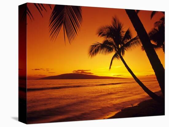 Colorful Sunset in a Tropical Paradise, Maui Hawaii, USA-Jerry Ginsberg-Stretched Canvas