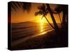 Colorful Sunset in a Tropical Paradise, Maui Hawaii, USA-Jerry Ginsberg-Stretched Canvas