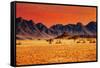 Colorful Sunset in Namib Desert, Namibia-DmitryP-Framed Stretched Canvas