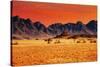 Colorful Sunset in Namib Desert, Namibia-DmitryP-Stretched Canvas