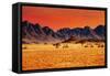 Colorful Sunset in Namib Desert, Namibia-DmitryP-Framed Stretched Canvas