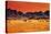Colorful Sunset in Namib Desert, Namibia-DmitryP-Stretched Canvas