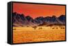 Colorful Sunset in Namib Desert, Namibia-DmitryP-Framed Stretched Canvas
