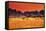 Colorful Sunset in Namib Desert, Namibia-DmitryP-Framed Stretched Canvas