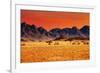 Colorful Sunset in Namib Desert, Namibia-DmitryP-Framed Photographic Print