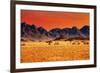 Colorful Sunset in Namib Desert, Namibia-DmitryP-Framed Photographic Print