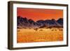 Colorful Sunset in Namib Desert, Namibia-DmitryP-Framed Photographic Print