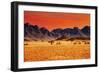 Colorful Sunset in Namib Desert, Namibia-DmitryP-Framed Photographic Print