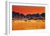 Colorful Sunset in Namib Desert, Namibia-DmitryP-Framed Photographic Print