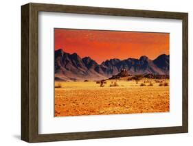 Colorful Sunset in Namib Desert, Namibia-DmitryP-Framed Photographic Print