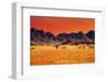 Colorful Sunset in Namib Desert, Namibia-DmitryP-Framed Photographic Print