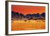 Colorful Sunset in Namib Desert, Namibia-DmitryP-Framed Photographic Print