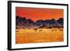 Colorful Sunset in Namib Desert, Namibia-DmitryP-Framed Photographic Print