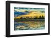 Colorful Sunset in Pantanal, Brazil-ESB Professional-Framed Photographic Print
